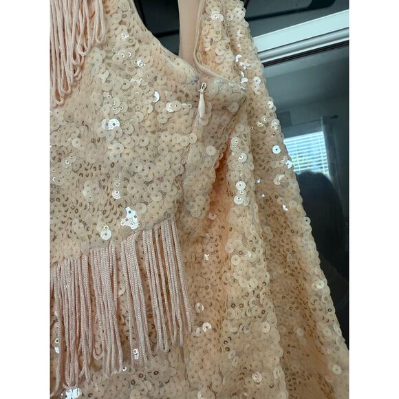 Gianni Bini Maritza Sequin and Fringe Pink Dress XS - Picture 4 of 14